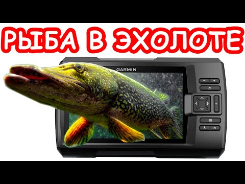 Видео: РЫБА НА ЭХОЛОТЕ. ЧТО ВИДИТ ЭХОЛОТ. ВСЯ ПРАВДА ОБ ЭХОЛОТАХ