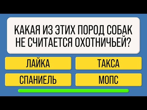 Видео: 25 вопросов, которые ставят в тупик даже умников!