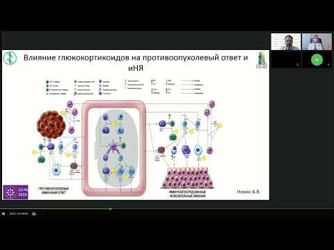 Видео: Иммуноонкология (вебинар 23 мая 2024)