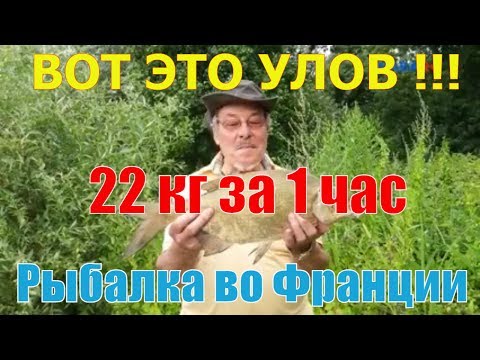Видео: Рыбалка на Сене. Франция. Супер улов :)