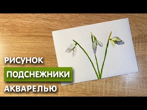 Видео: Как нарисовать подснежники карандашом и акварелью начинающим | Рисунок для детей