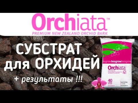 Видео: ОРХИАТА лучший СУБСТРАТ для ОРХИДЕИ | кора для орхидей | во что посадить орхидею | орхидея orchiata