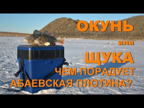 Видео: Окунь или щука. Чем порадует Абаевская плотина? Рыбалка в Актюбинской области
