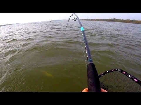 Видео: МУЖИК НЕ ВЫТЕРПИЛ И ПОДПЛЫЛ! НАШЛИ КУЧУ РЫБЫ И НАЧАЛИ ЕЕ ТЯГАТЬ! РЫБАЛКА