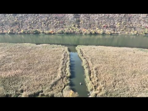 Видео: Днестровский берег