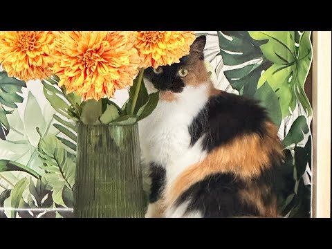 Видео: Улюблена рубрика- #порожнячки вересня. НЕ РЕКОМЕНДУЮ витрачати кошти!