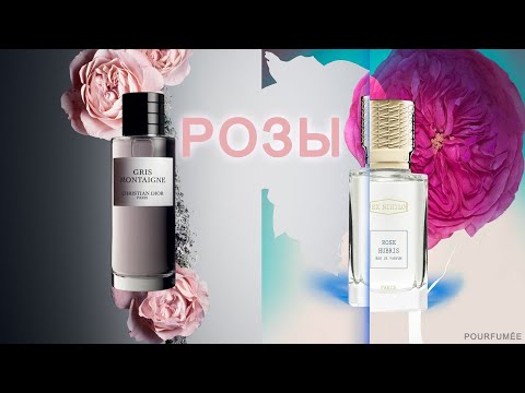 Видео: РОЗЫ @POURFUMÉE  | Gris (Montaigne) DIOR | Rose Hubris EX NIHILO | + в защиту Gloria Vanderbilt