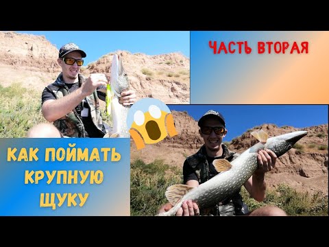 Видео: Щука осенью. Джеркбейт. Джиг.