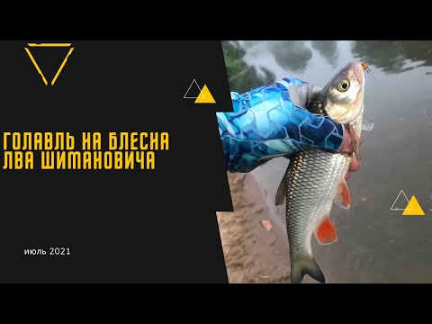 Видео: Утро на Наре ! Голавль на микро блесну !!