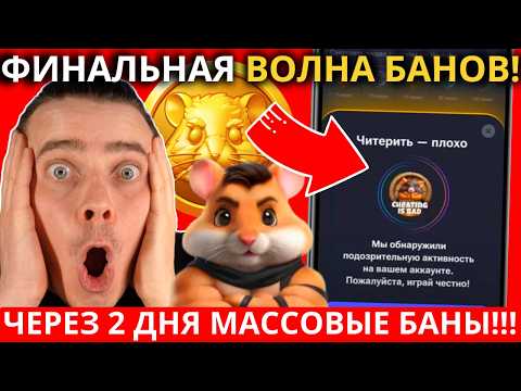 Видео: ⚠️HAMSTER KOMBAT - 🔥СРОЧНО! 🔴НОВАЯ ВОЛНА БАНОВ! ЧЕРЕЗ 2 ДНЯ ЗАПУСТЯТ МАССОВЫЕ БАНЫ! ВОТ ЧТО ДЕЛАТЬ!