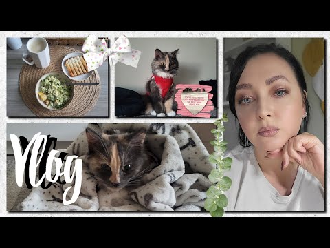 Видео: vlog : 🍂Микуся🐈, макияжи, пришёл парфюмерный шкаф, завтрак🥑,болтаем🍁