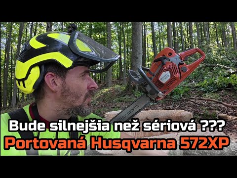 Видео: Перенесенная Husqvarna 572XP. Будет ли она мощнее стандартной? Заготовка древесины бука, Амлес.