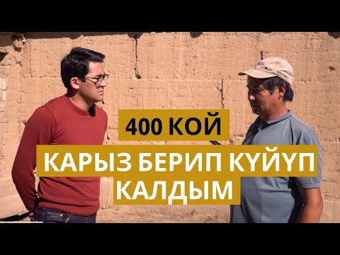 Видео: 12 жыл баккан 400 кой карызга кеткен // Милиция ишти жаап койгон // Нарын району