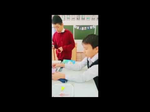 Видео: "Биология сабағында модельдеу және Steam технологиясын қолдану"