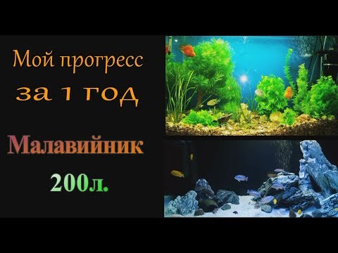 Видео: Мой прогресс за 1 год