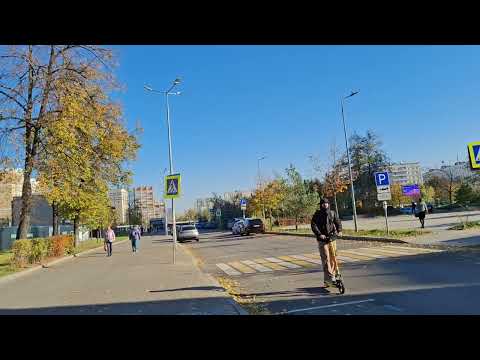 Видео: Юридические услуги. Не платить алименты бывшей супруге не получилось