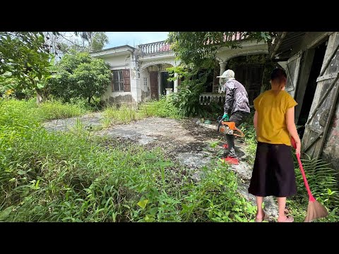 Видео: Девушка вернулась, убирая старый дом Вина в Лиме, ​​стригая заросшую инвазивную траву