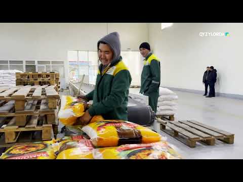 Видео: "Қызылордада жасалған": Күріш және жем зауыты