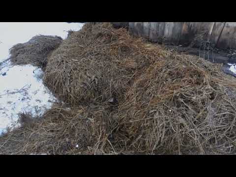 Видео: Разговор о сенаже!Как и какой сенаж в пленке, я готовлю!