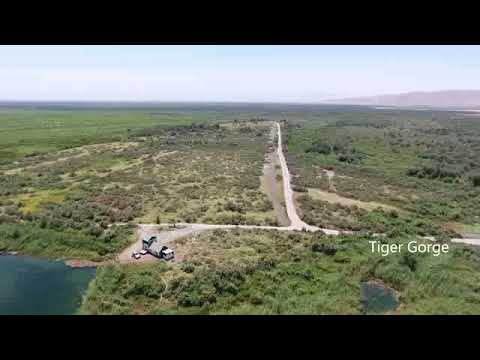 Видео: Бешаи Палангон Лавха Инглиш хр 5 мин.Тигровая балка. ингл. реж.М.Асозода. 2017.