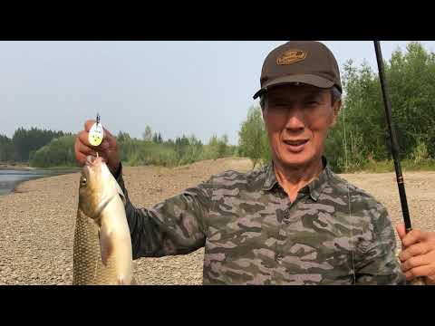 Видео: Рыбалка на речке Тирэхтэх / C Клевой рыбалкой В. Бродниковым