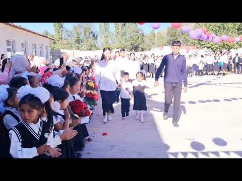 Видео: 8 ноября 2025 г.