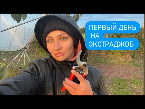 Видео: Первый день на Экстраджоб 🛠 Работа на ферме в Шотландии