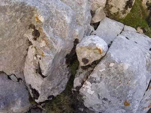 Видео: Пирин - Северната стена на Вихрен по маршрут "Скалния жлеб" - 6