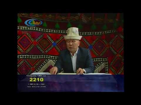 Видео: КУТ 2