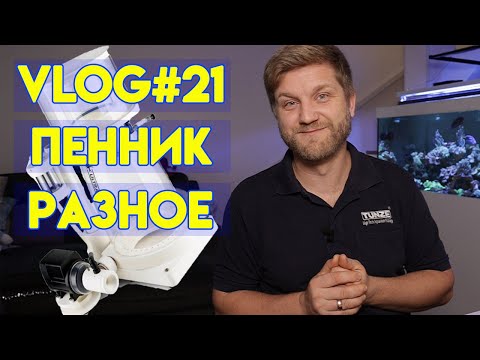 Видео: vlog#21 | пенник | морской аквариум | аквариумные рыбки | морской аквариум для начинающих