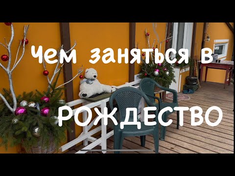 Видео: Работы в саду в январе. Посеяла "Пентас Космик"