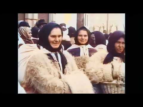 Видео: 1920-ті. Давній Ужгород