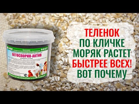 Видео: В корм добавили всего две ложки… Результат удивил!