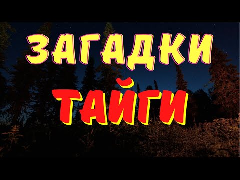 Видео: Страшилки про тайгу/ Страшные истории/ Мистические истории