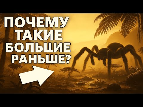 Видео: Невероятно, но факт: на Земле ЖИЛИ ГИГАНТСКИЕ насекомые!
