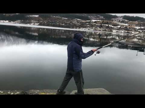 Видео: Ulvik Норвегия рыбалка с берега.