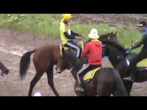 Видео: #Барон Жорго салыш, 09 04 2015 Чон жорго Жениш кунуно арналган ат чабыш.