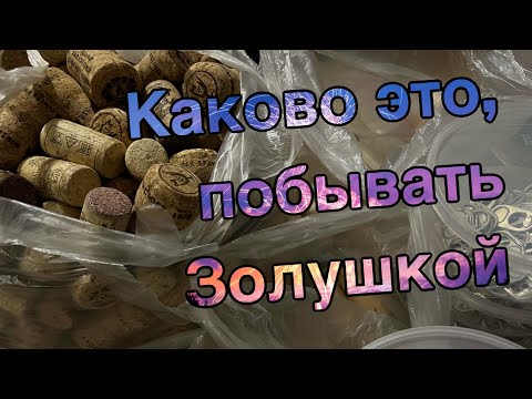 Видео: Собираем и сдаем вторсырье: первая сдача в 25году