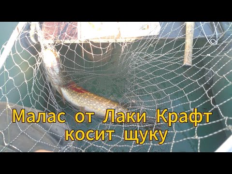 Видео: Копия Маласа от Лаки Крафт ловит щук ...