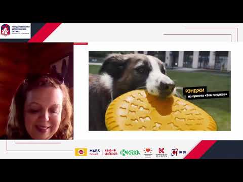 Видео: 3. Пойдем домой, или как помочь владельцу принять решение взять собаку из приюта.