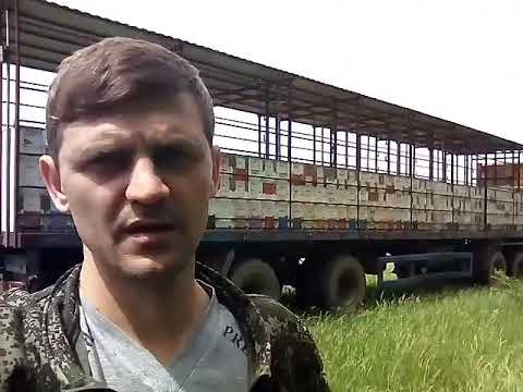 Видео: Акация есть! Главное не опускать руки! 20.05.2020