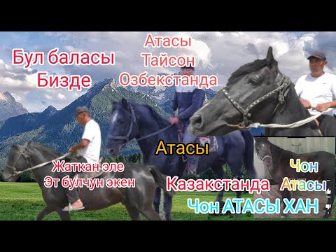 Видео: Хан УРУК учунчу муун Таза ат кол бала