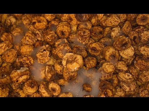 Видео: Тигровый орех🥜.Ловля карпа на тигровый орех.🌰