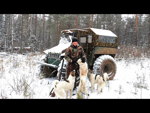 Видео: Таёжный промысел в Сибири. Первый снег. Зима набирает обороты