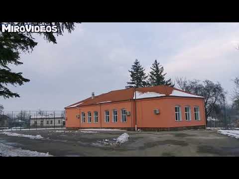 Видео: Медковец Импресия