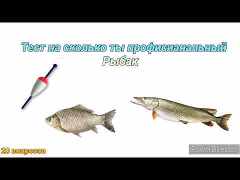 Видео: тест на рыбака.