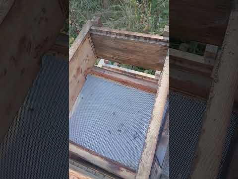 Видео: 20 октября 2025 г.