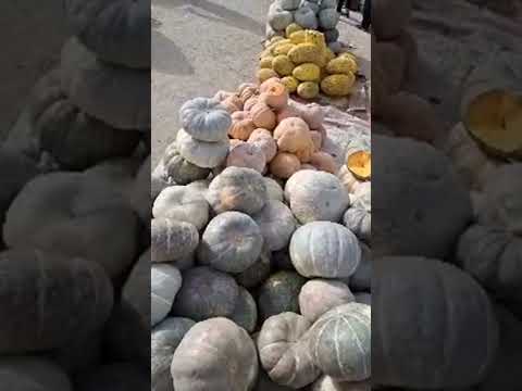 Видео: НАВРУ́З ХУ́ЖАА в прямом эфире!