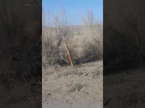 Видео: Өзбекстан. Шонтыбай ауылы. 2018ж.