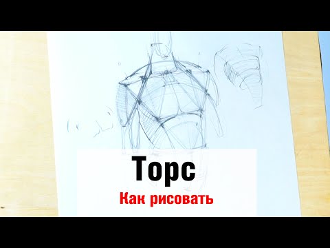 Видео: Как рисовать "Торс" - А. Рыжкин
